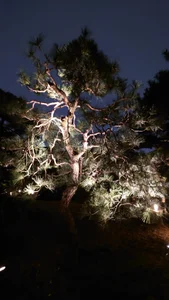 Meron_Boy 趣味hobbies Pic 8