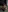 Alice-Green's photo