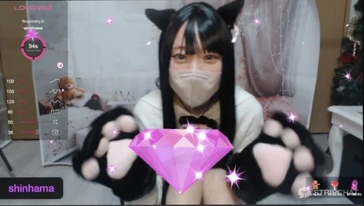 毎月22日のにゃんにゃんデー🐈💕