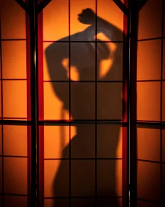 Greiz_SubKimura shades Pic 3