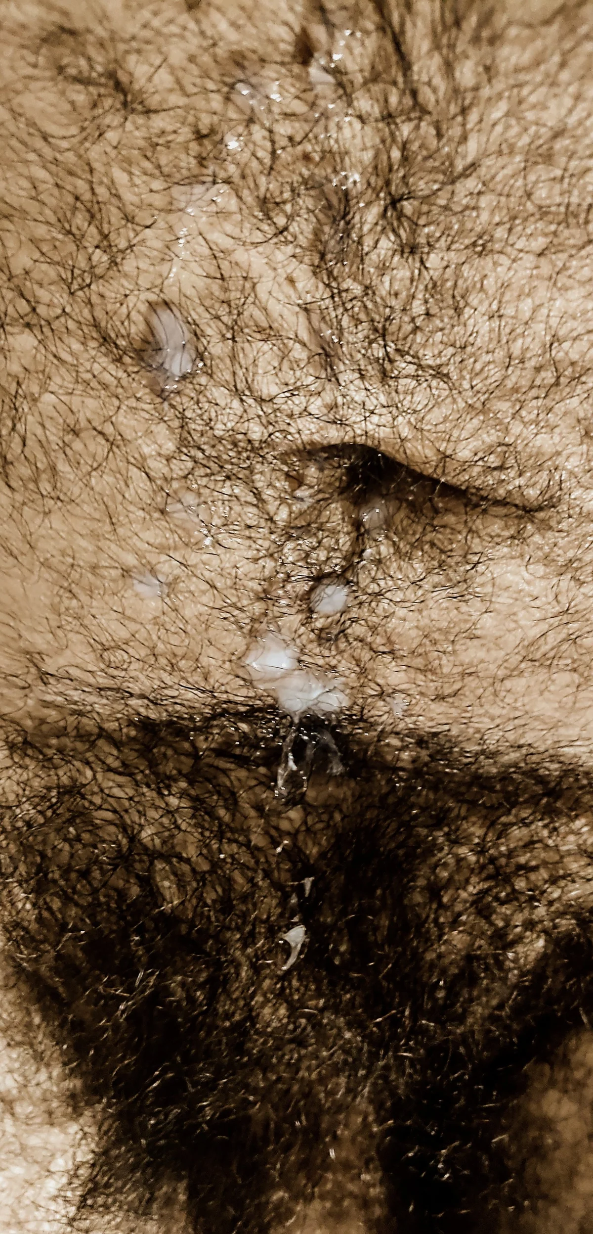 big_bearr Δημοφιλής εικόνα 5431