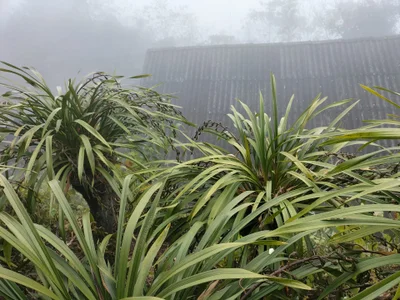 lia-coys XXX nøgenfoto 1