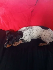 ferdinad20 Public 사진 6