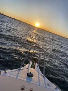 Agnescruzz Recarga 사진