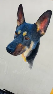 color_beat17 Dog Portrait صورة واحدة|color_beat17 Dog Portrait صورتان|color_beat17 Dog Portrait  4 صور|color_beat17 Dog Portrait  4 صورة