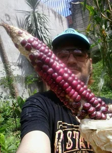 LECHEBALLSのPublicの枚の写真