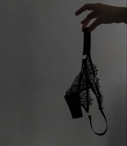 ElvaSecretPublic Bild 2