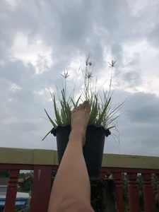 RiderFloor Public  7টি ছবি