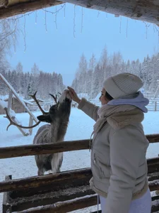 Winter fairytale ❄️ od MaryMurray  6 snímek