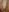 SouthernSass4U's photo