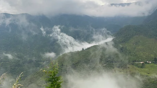 I LOVE NATURE!!🤞🏽🍃✨ this make me so happy 🫶🏾✨🍃🌻 de Amelie_Belle_  photos