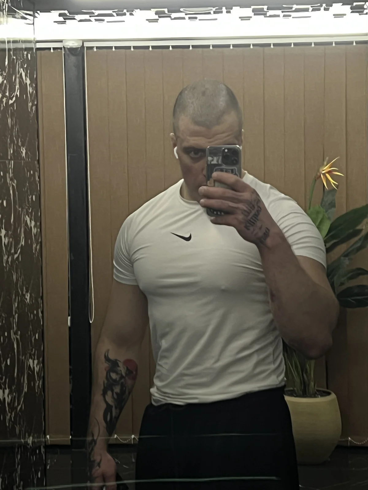 Telenok Populära bilder 1690