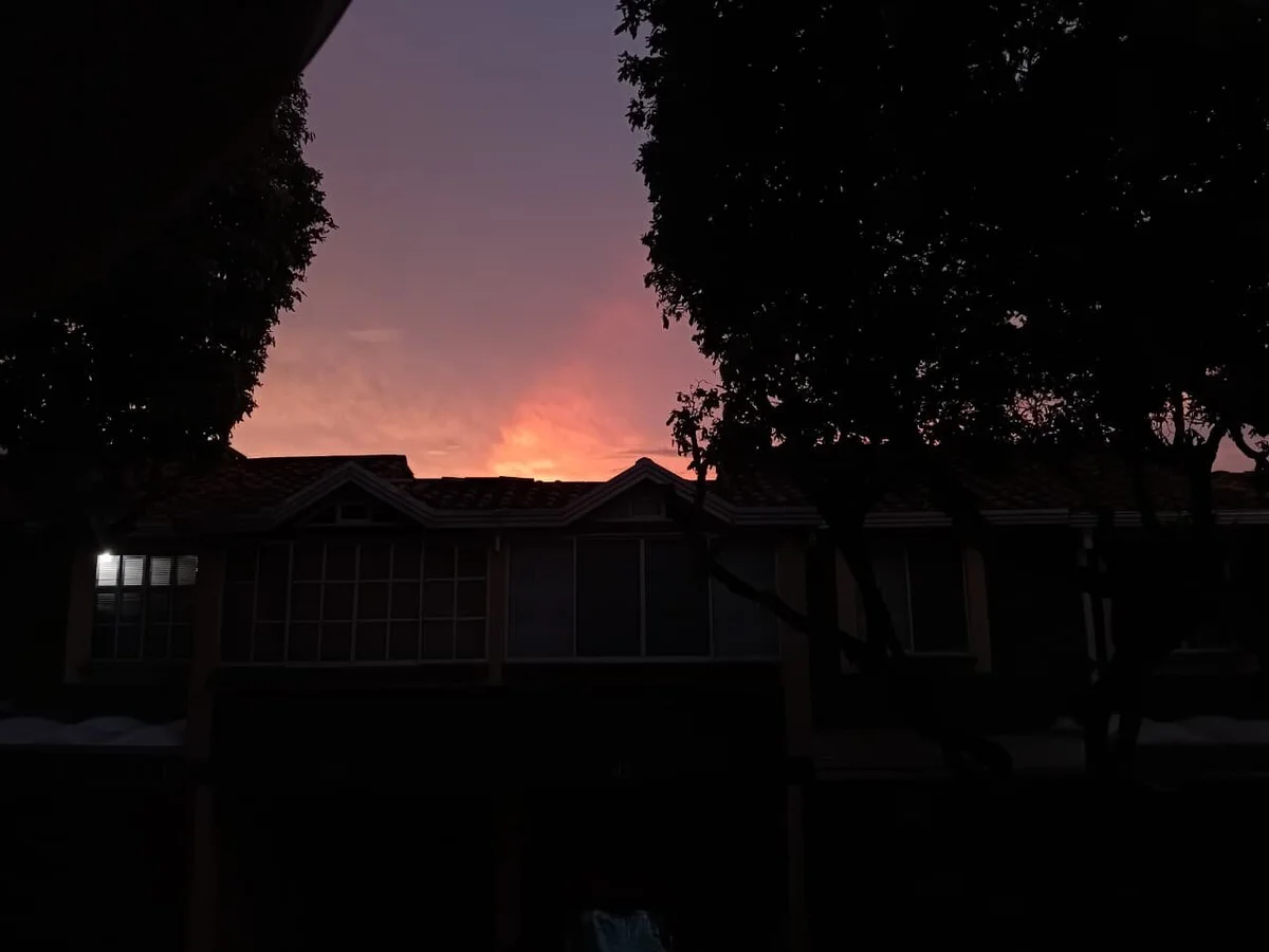 Трендове зображення  5615 Violet_Blazee