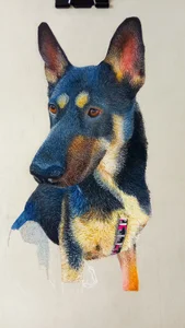 color_beat17 Dog Portrait Pic 3