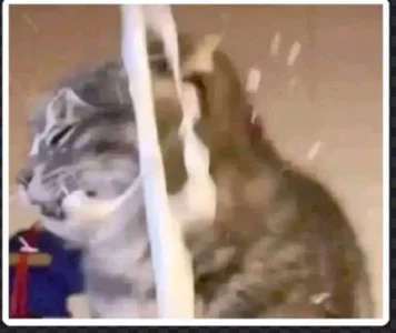 Nana_Chu 💦💦💦 Hình