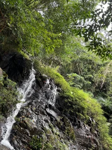 MistyBarnes China nature Pic 5