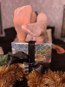 LadyDiLancaster nylon Immagine  3