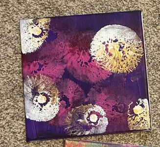 Booby paintings