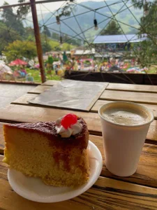 JESYSOZ23_ jesy en paseo Pic 3