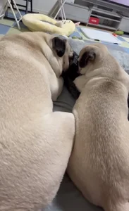 個人的癒し写真・画像 de SPOTSCAMEL  5 photos