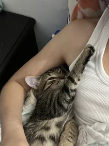 Akaza_Hakuji_ hello :3 hehe صورة واحدة|Akaza_Hakuji_ hello :3 hehe صورتان|Akaza_Hakuji_ hello :3 hehe  7 صور|Akaza_Hakuji_ hello :3 hehe  7 صورة