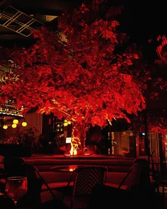 nate_rott Date night Billede