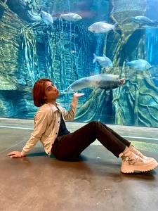 immersing myself in the calm and beauty of the aquarium de imgerver  2 Imagens