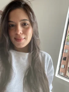 kamivolkano Public Immagine 