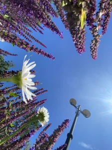 Helena_Crystall Public Pic 5