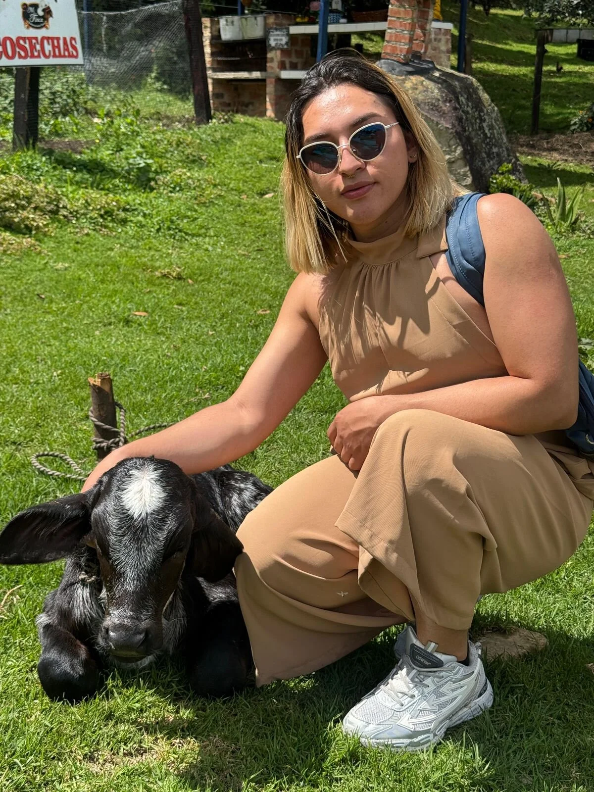 TomLondon_ Reconnecting with nature🏕 slika 2