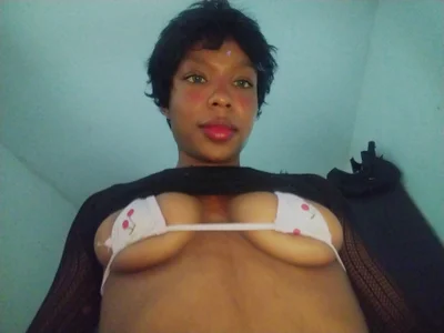 Public de laragrau  7 Imagens