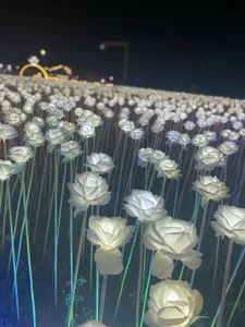 CountessRuby WHEN IN CEBU Foto 5