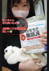 欲し芋のリスト リンクはプロフィール💕