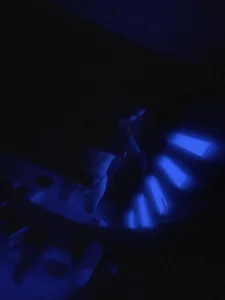 gryzoonのPublicの 9枚の写真