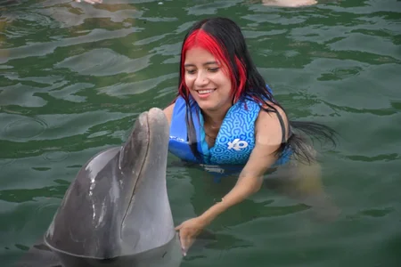 CUTE 🐬 de letty_straus  photos