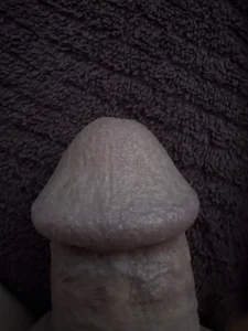Averagecock591 Head Pic