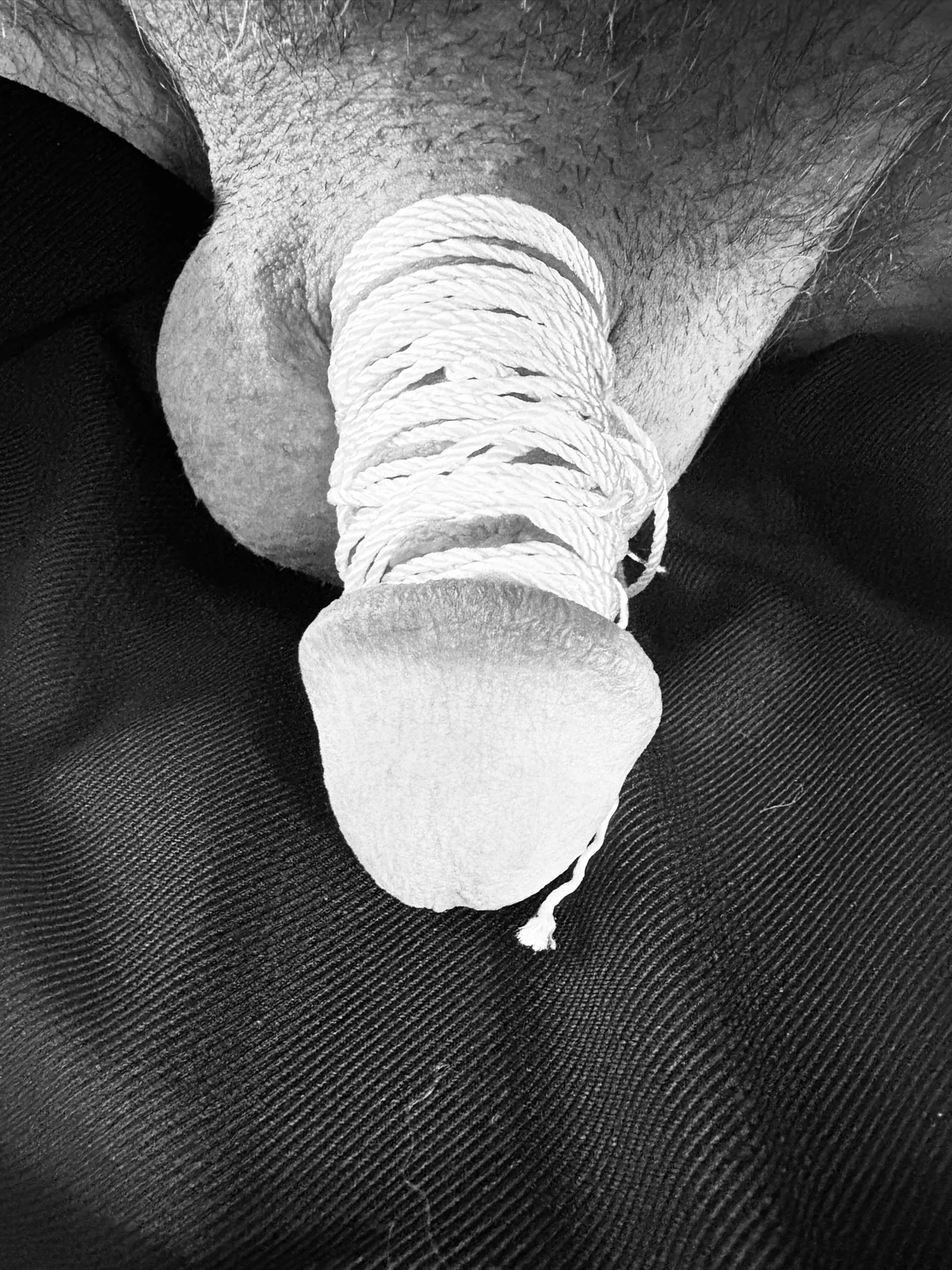 watchmesquirm Foto en Tendencia 359