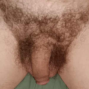 Aluntrus@xh Public Foto 2