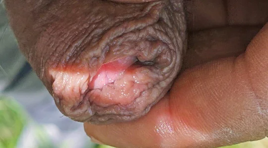 jhonschen's Tra la natura Sex Photo 6