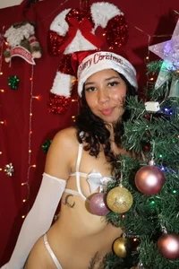 Zdjęcia Lisa_sweetas merry christmas⛄✨: 