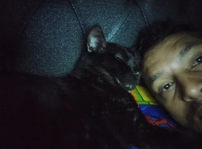 guestar Public Foto 3