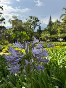 antonela-deepthroat Picnic day with my friends💗 Poză 4