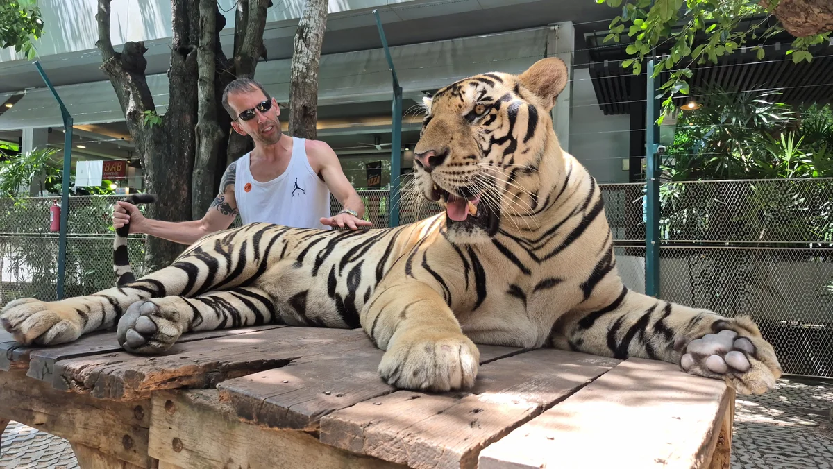 Jrec110 adlı kullanıcının viral fotoğrafları:  90