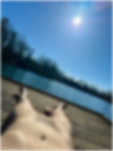 Harry_Tiger Public Bilde 2