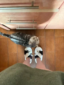 luna_berryy Sunny day ☀️ Immagine 