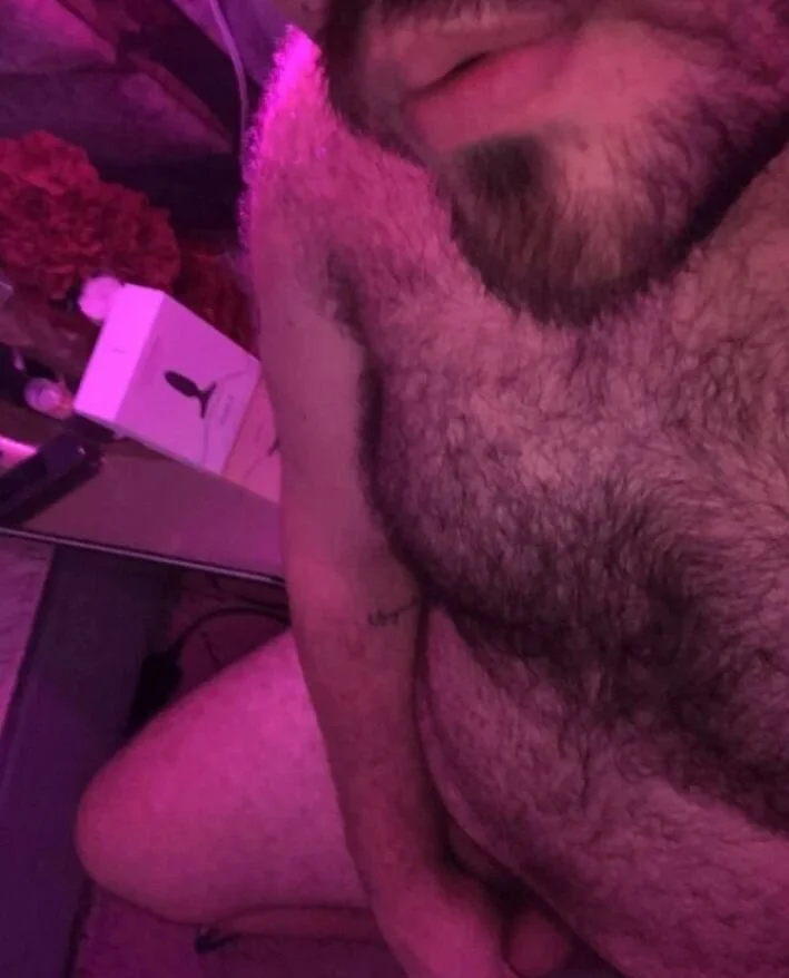 big_bearr избранные изображения 3398