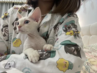 -sanhuamao- 家庭成员 Pic 5