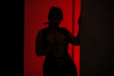 lincebdsm Novelties Hình 2