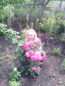 flowers, it's spring, de EllieLovee  5 Imagens