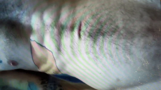 QueenM3 😝 XXX รูป  6